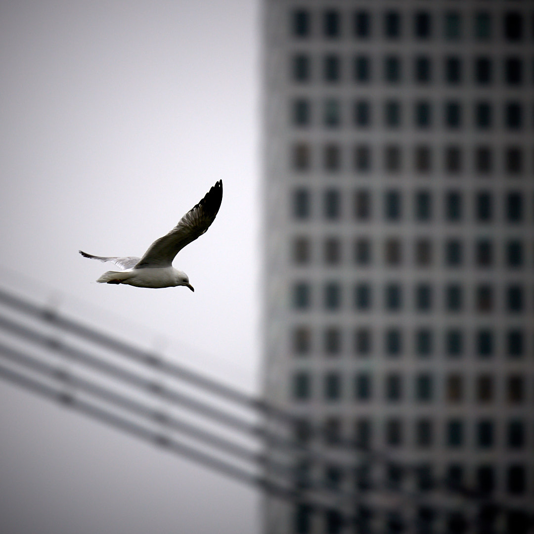 2025-04-07 ~ _R5_9676.jpg