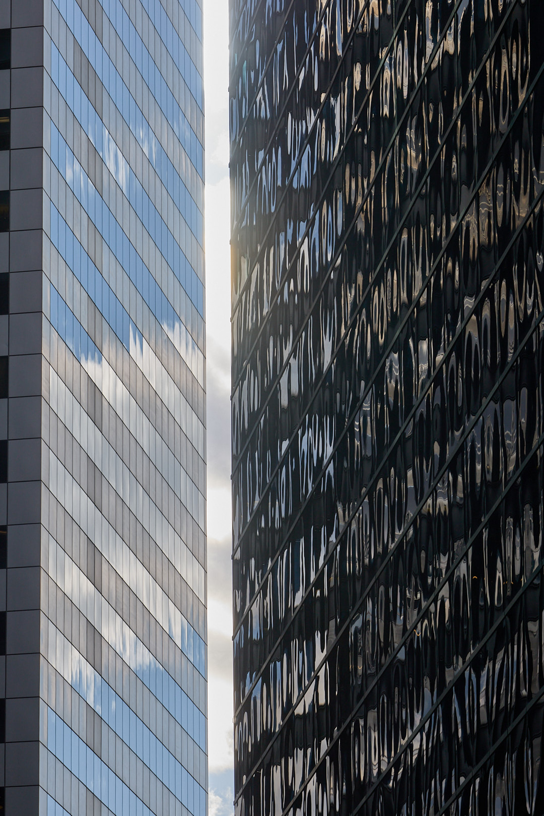 2025-04-08 ~ _R5_9712.jpg