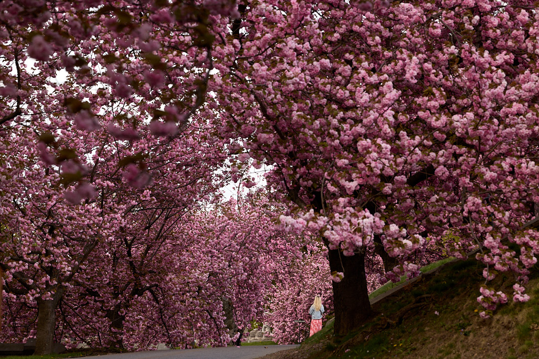 2025-04-25 ~ _R5_2022.jpg