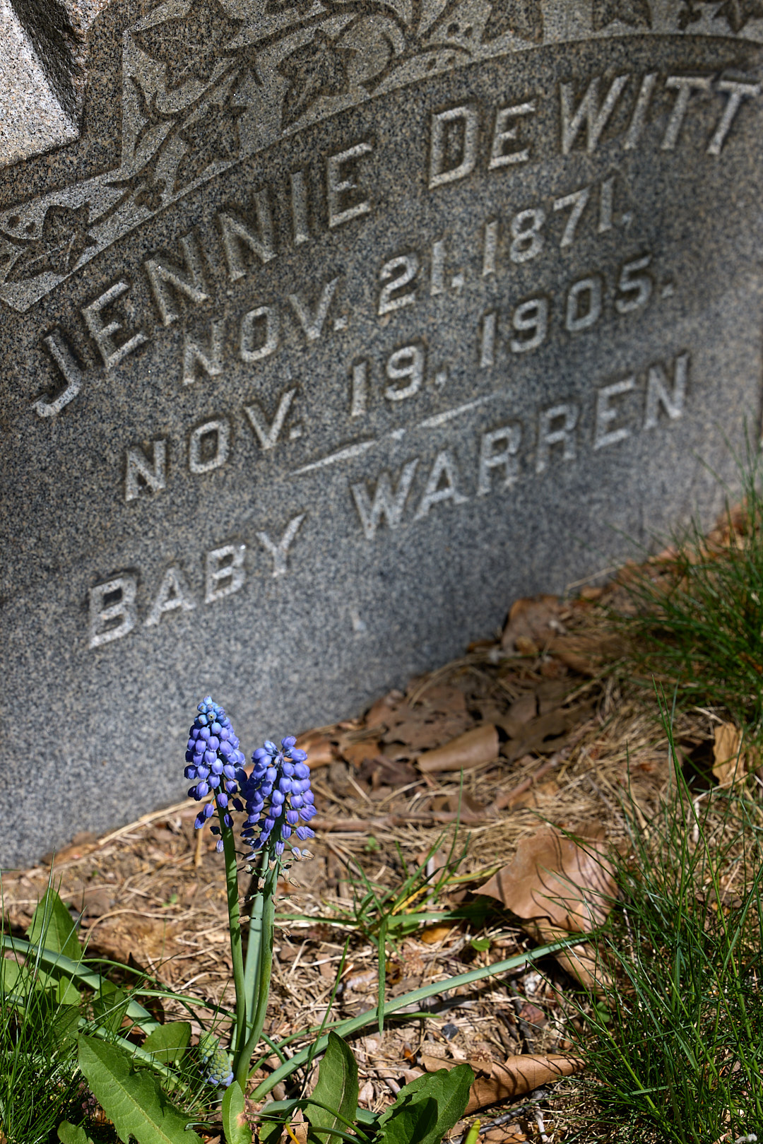 2025-05-01 ~ _R5_3497.jpg