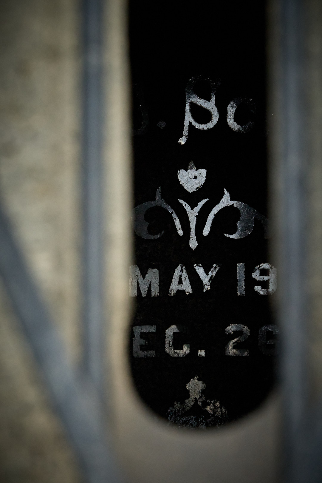 2025-05-18 ~ R52_2432.jpg