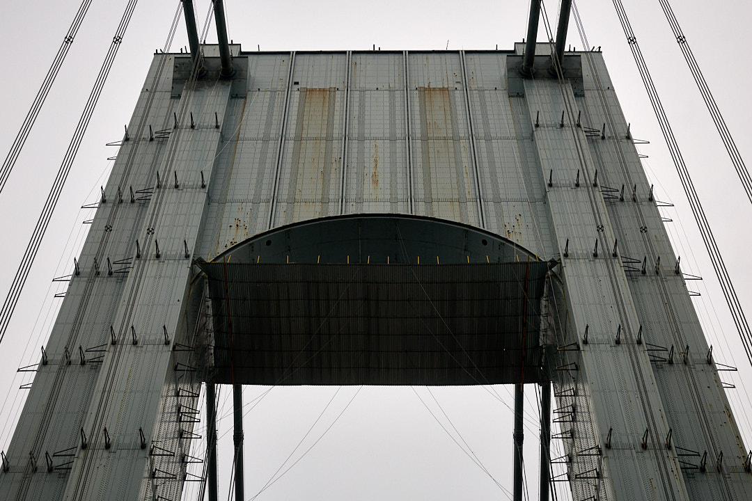 2025-06-06 ~ R52_6516.jpg