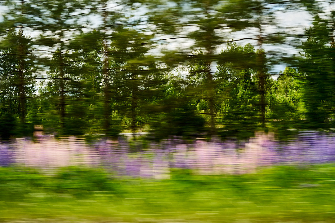 2025-06-22 ~ A7C00249.jpg