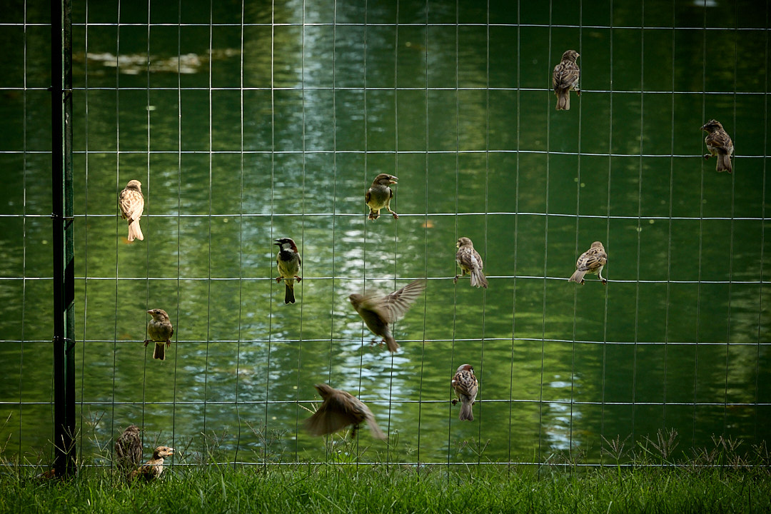 2025-07-08 ~ R52_2860.jpg