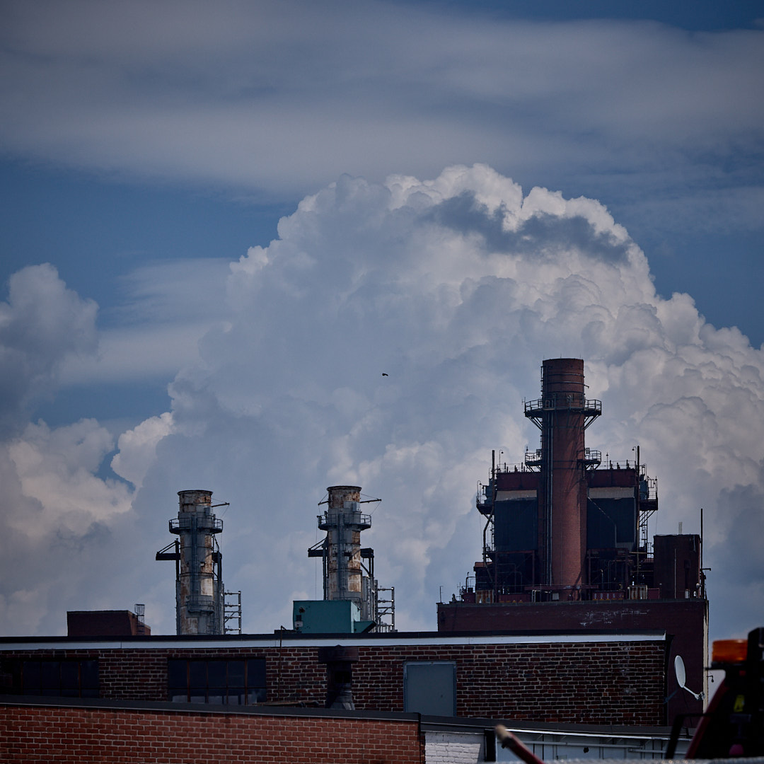 2025-07-25 ~ R52_5601.jpg