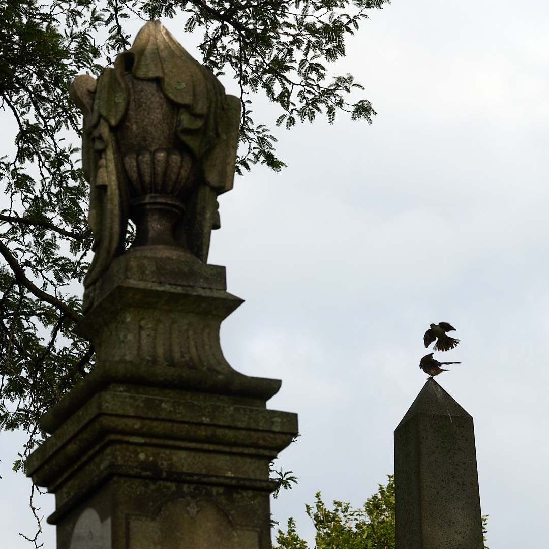 2025-08-01 ~ R52_6547.jpg