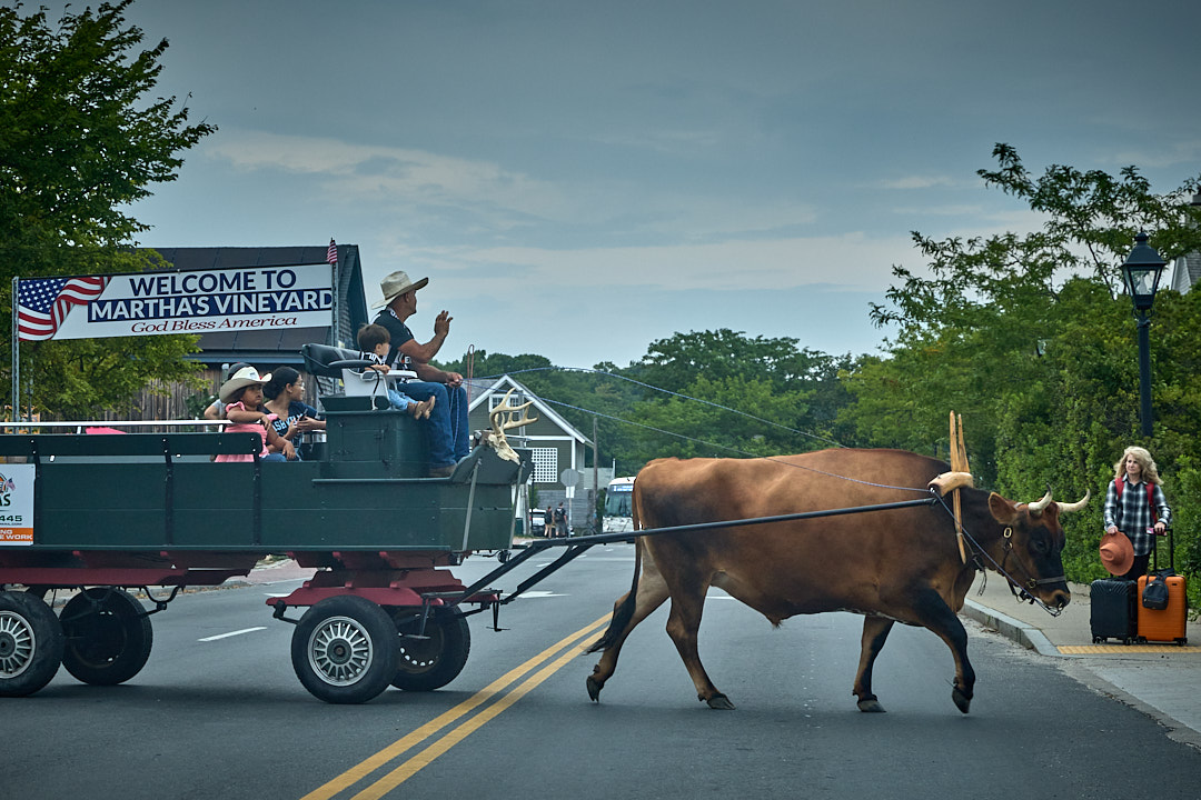 2025-08-17 ~ R52_1097.jpg