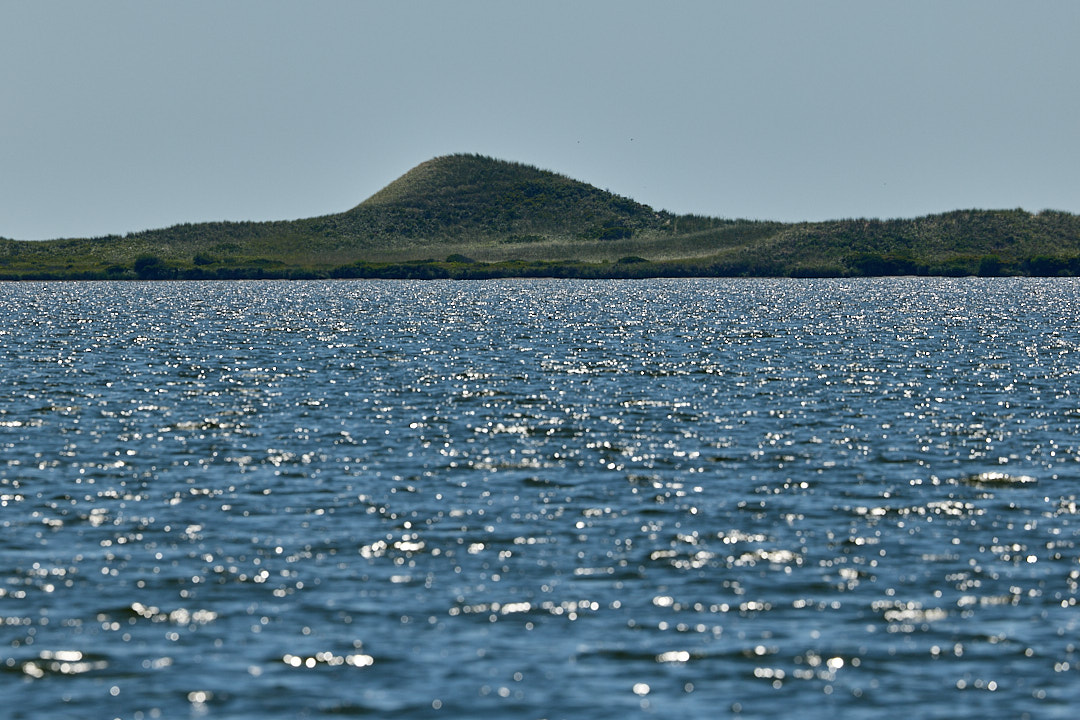 2025-08-23 ~ R52_1893.jpg