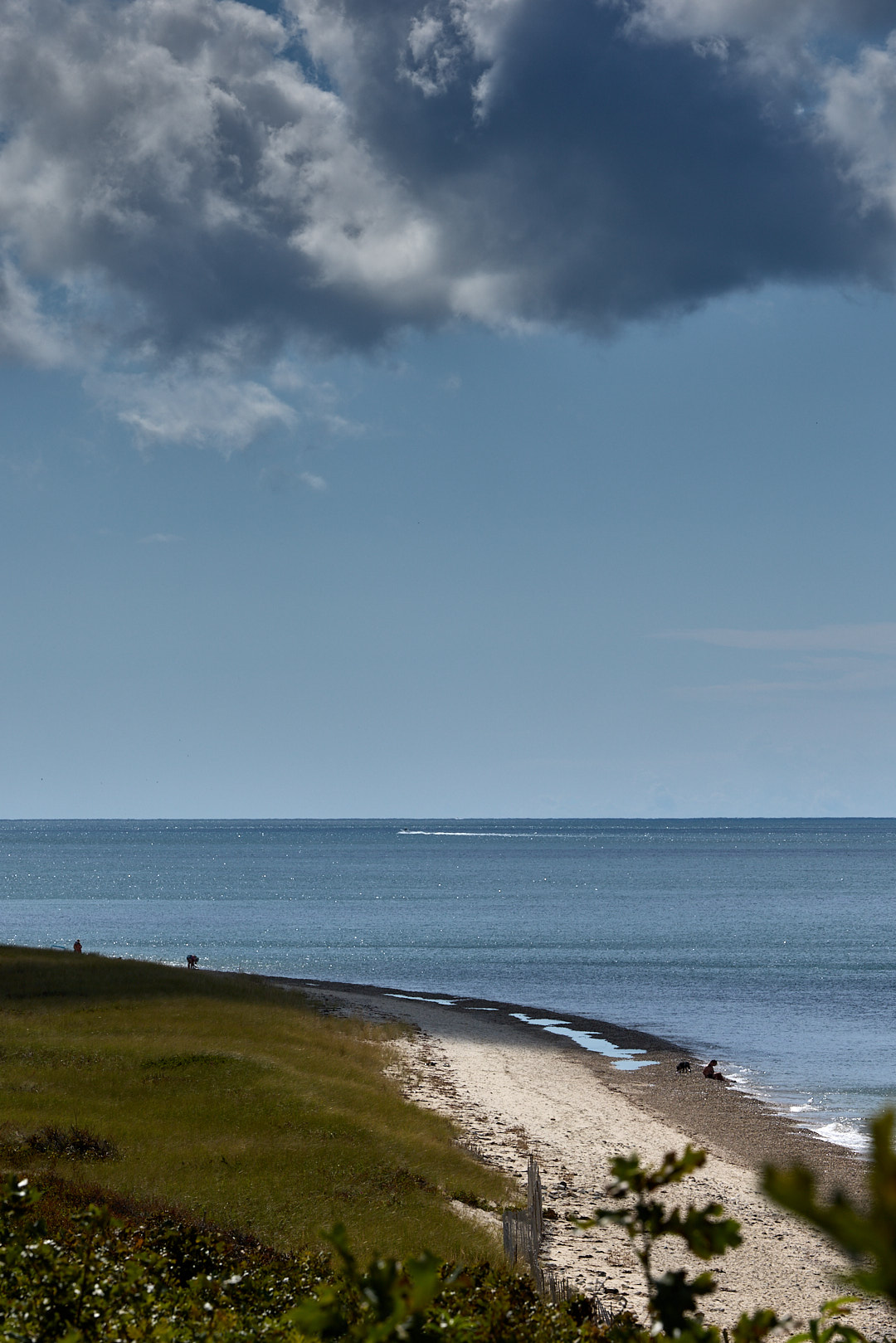 2025-08-29 ~ R52_3248.jpg