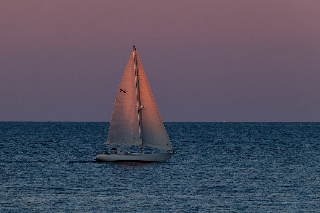 2025-08-30 ~ R52_3523.jpg