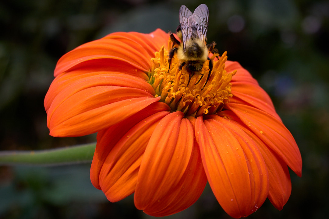 2025-09-16 ~ _IMG4088.jpg