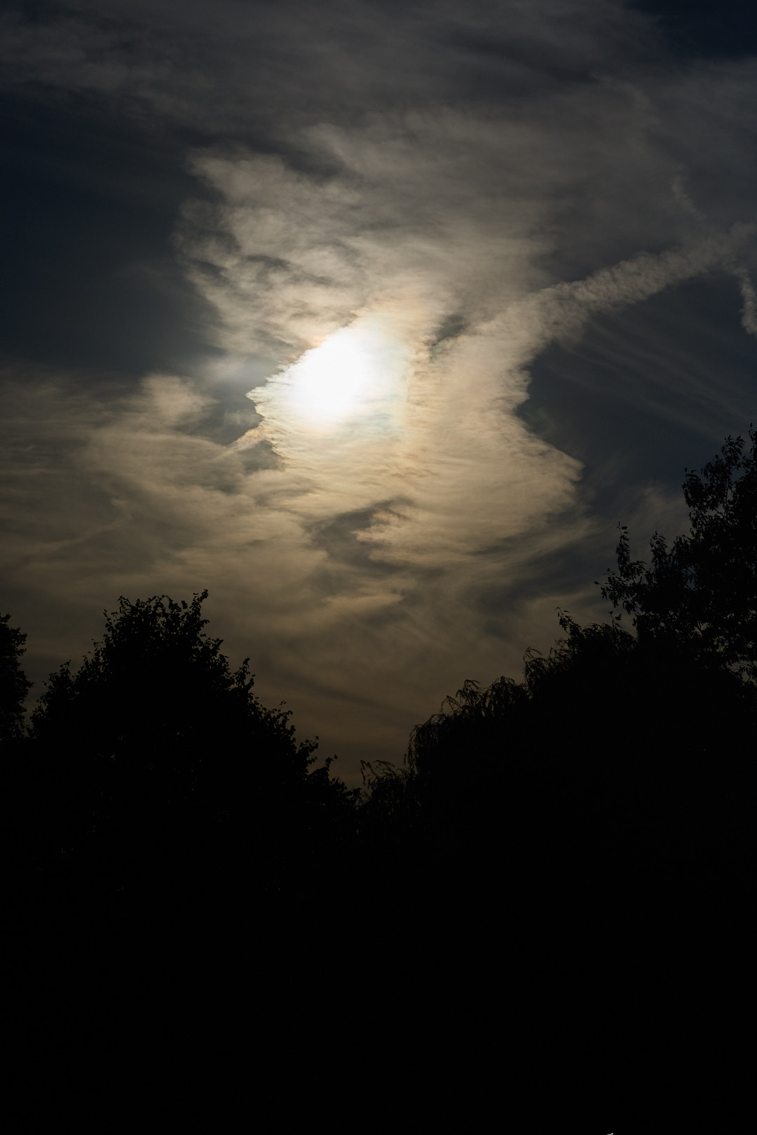 2025-10-04 ~ R52_2911.jpg