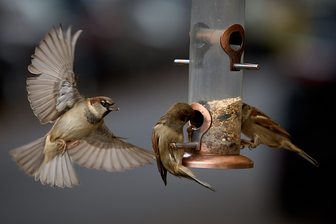 2025-11-21 ~ R52_1202.jpg