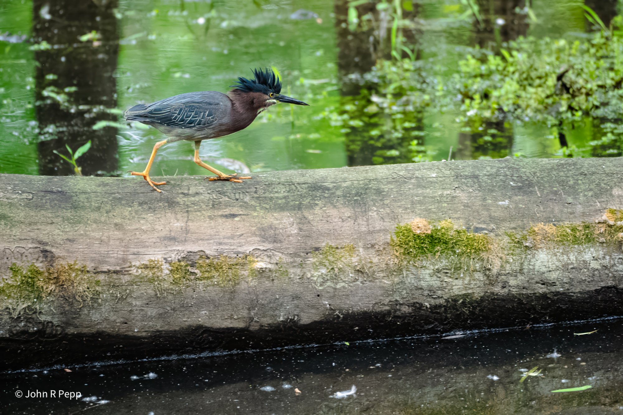 20250613-PEP03934-Edit-2.jpg