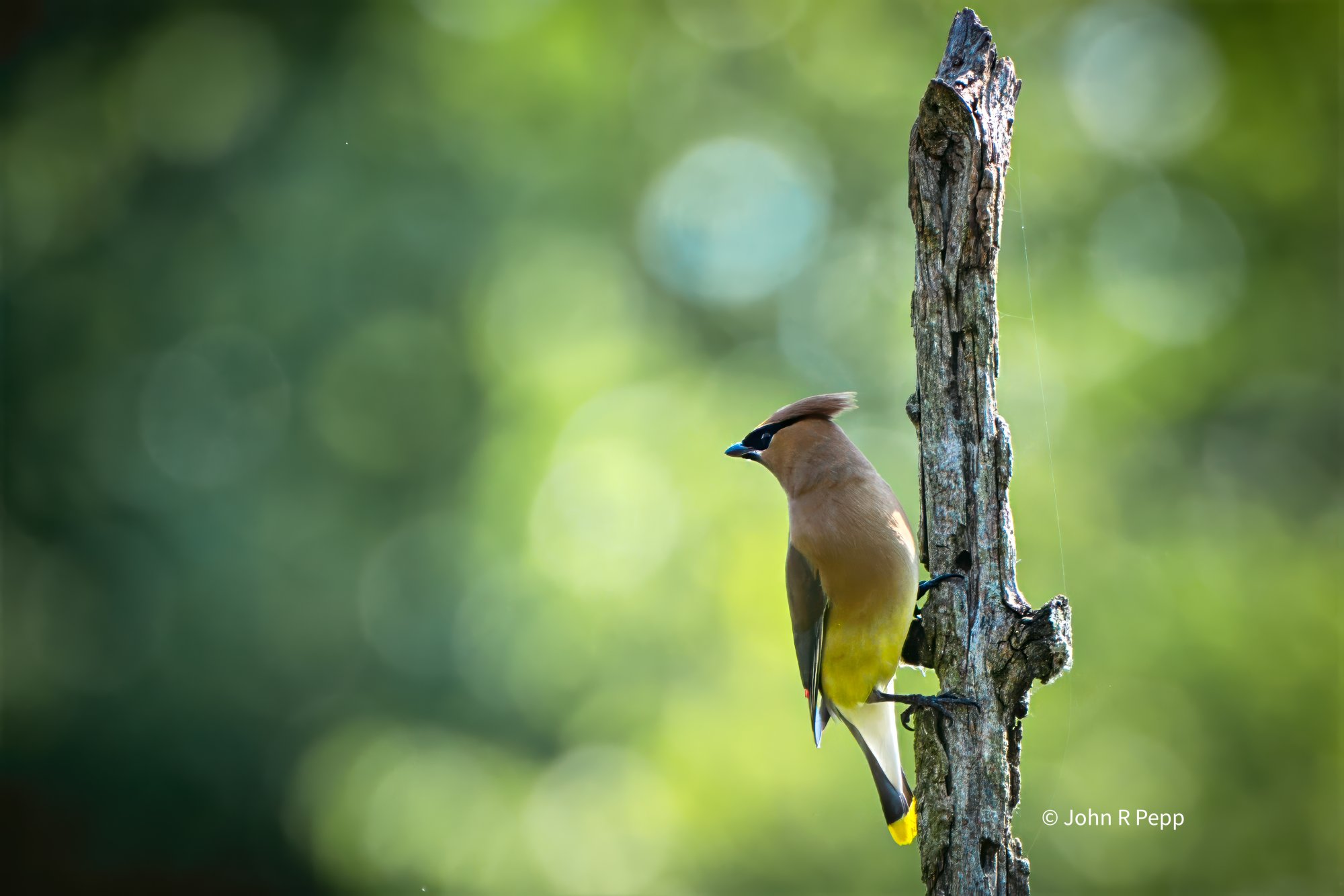 20250626-PEP09181-Edit-2.jpg