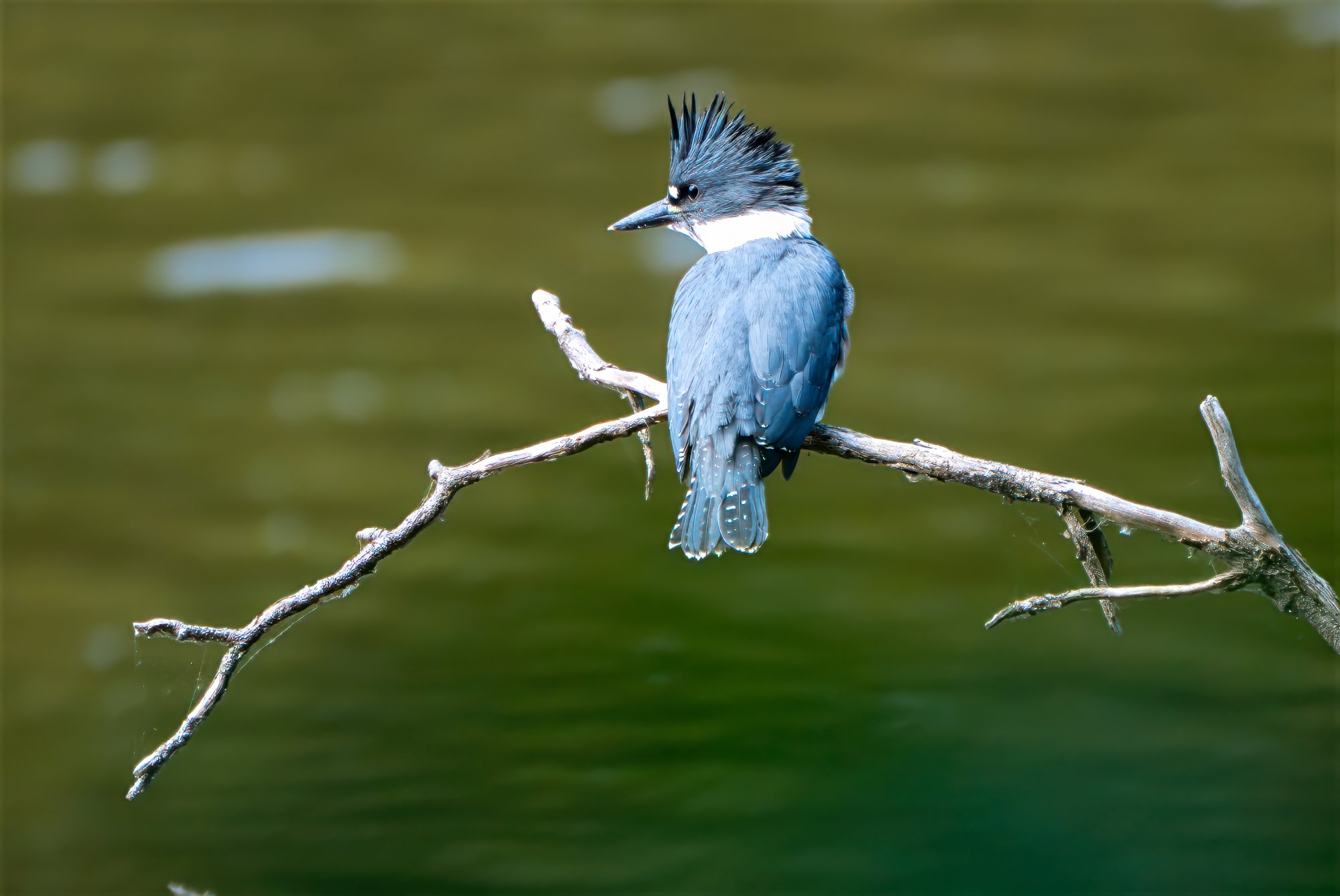 20250627-PEP09494-Edit.jpg