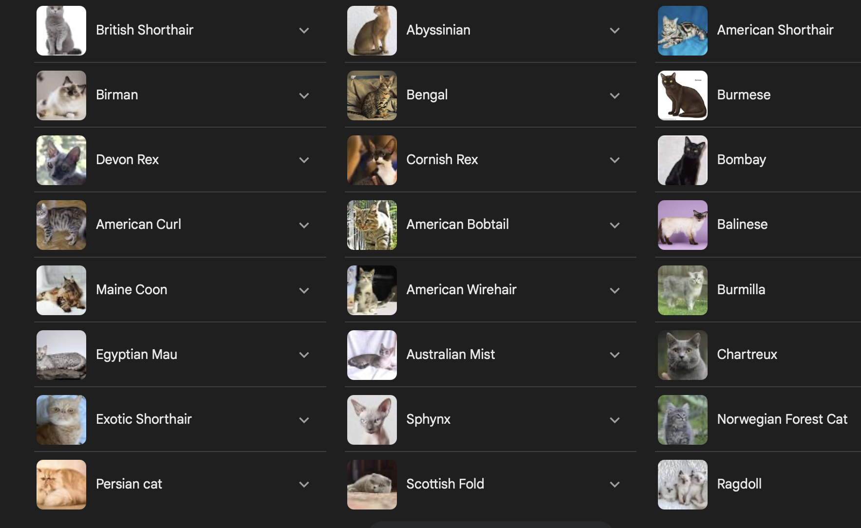 250529-cats.png