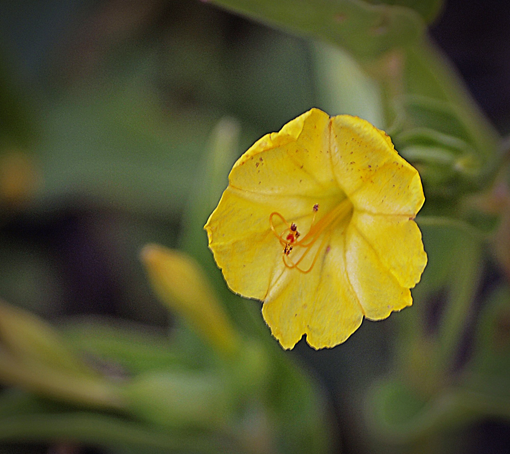 _1014489 cropxv2.jpg