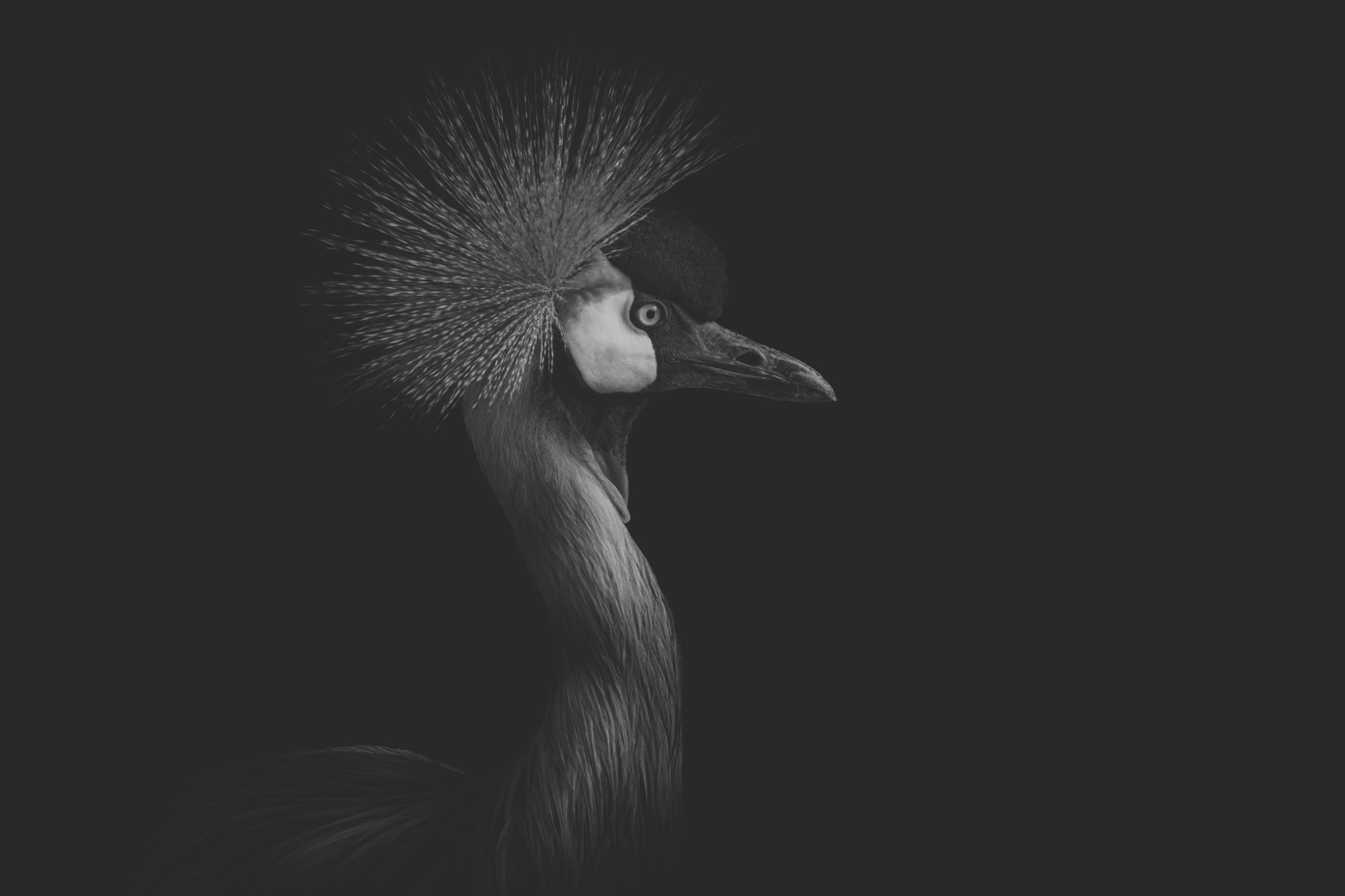 _DSC2388.jpeg