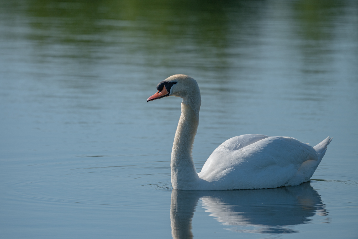 _Z630760.jpg