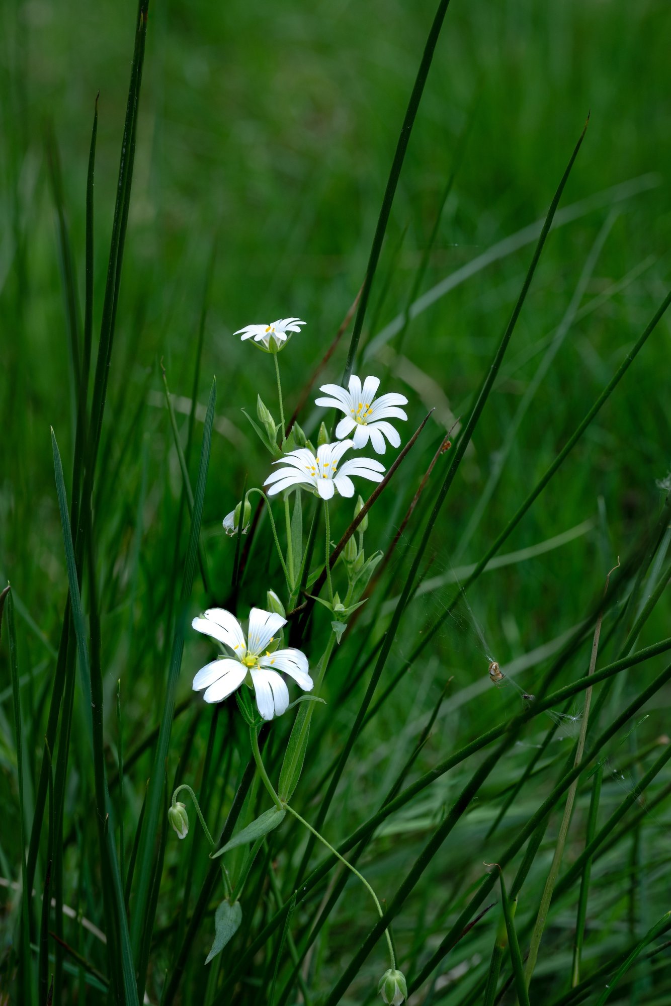 _Z639949-Edit.jpg