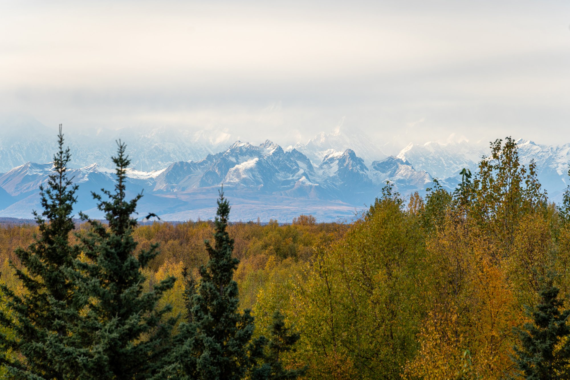 Alaska Range.jpg