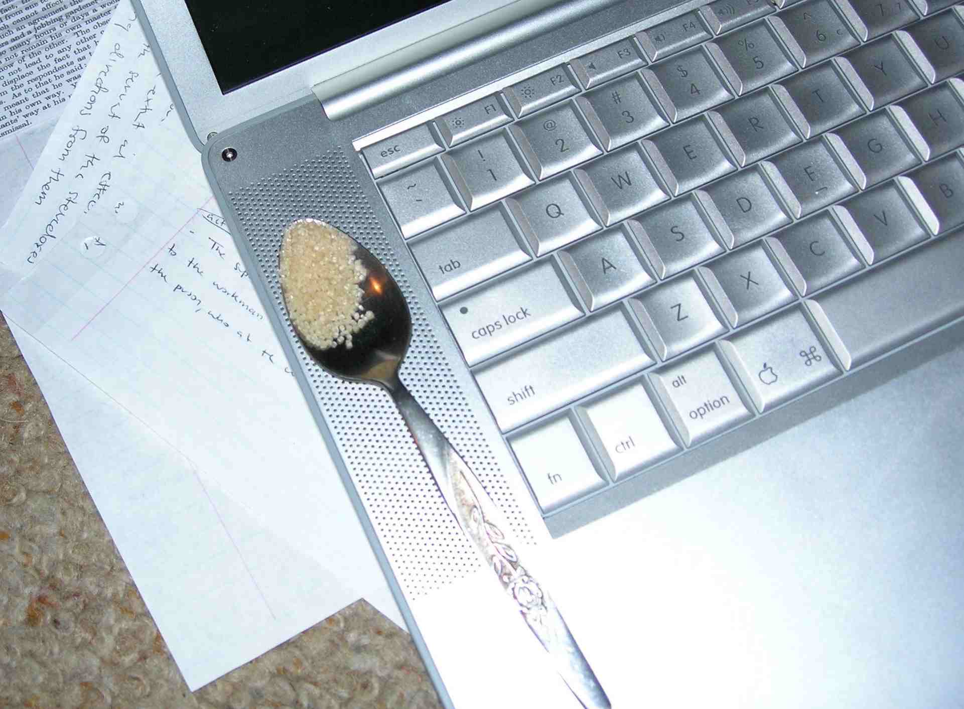 ant3.jpg