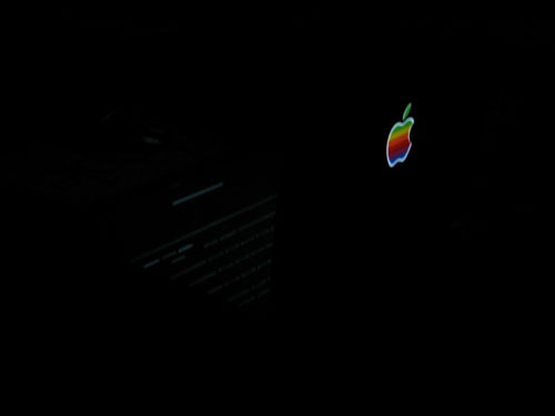 apple2.jpg