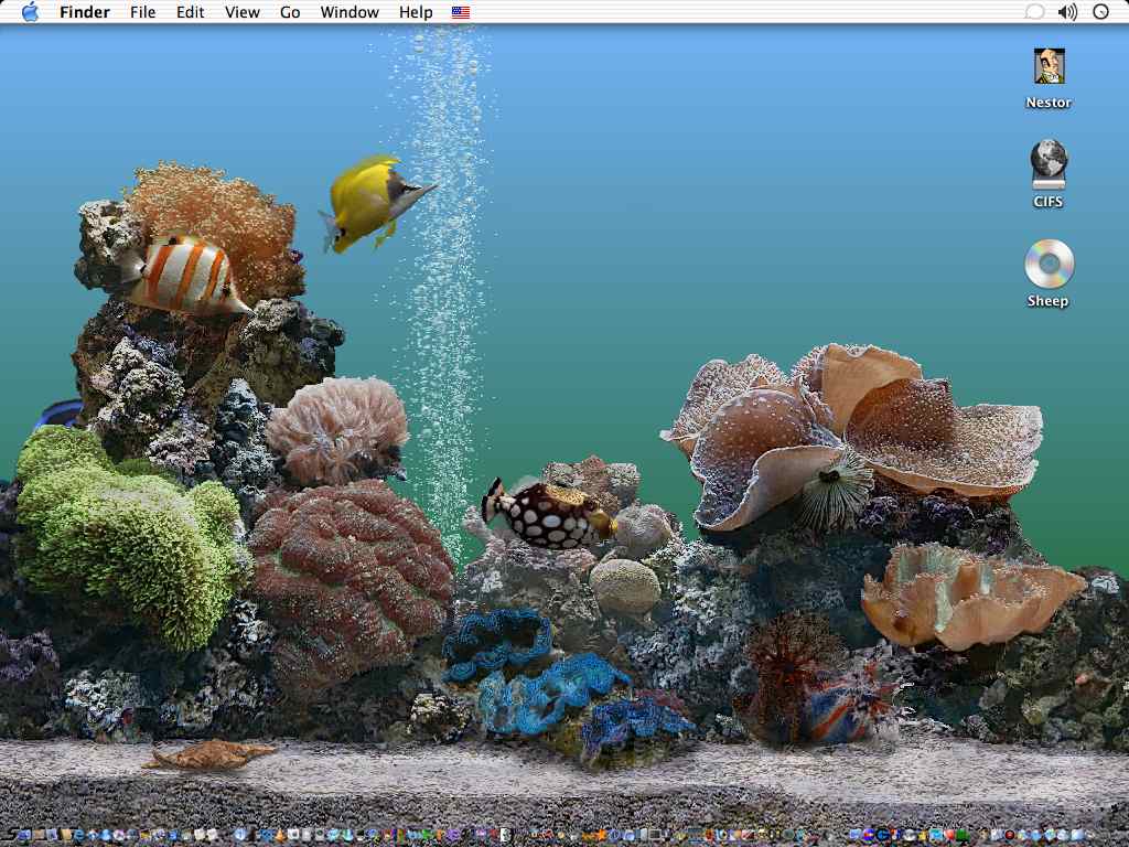 aquarium_background.jpg