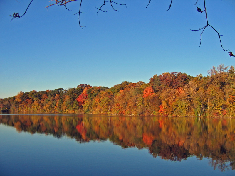 Autumn.jpg