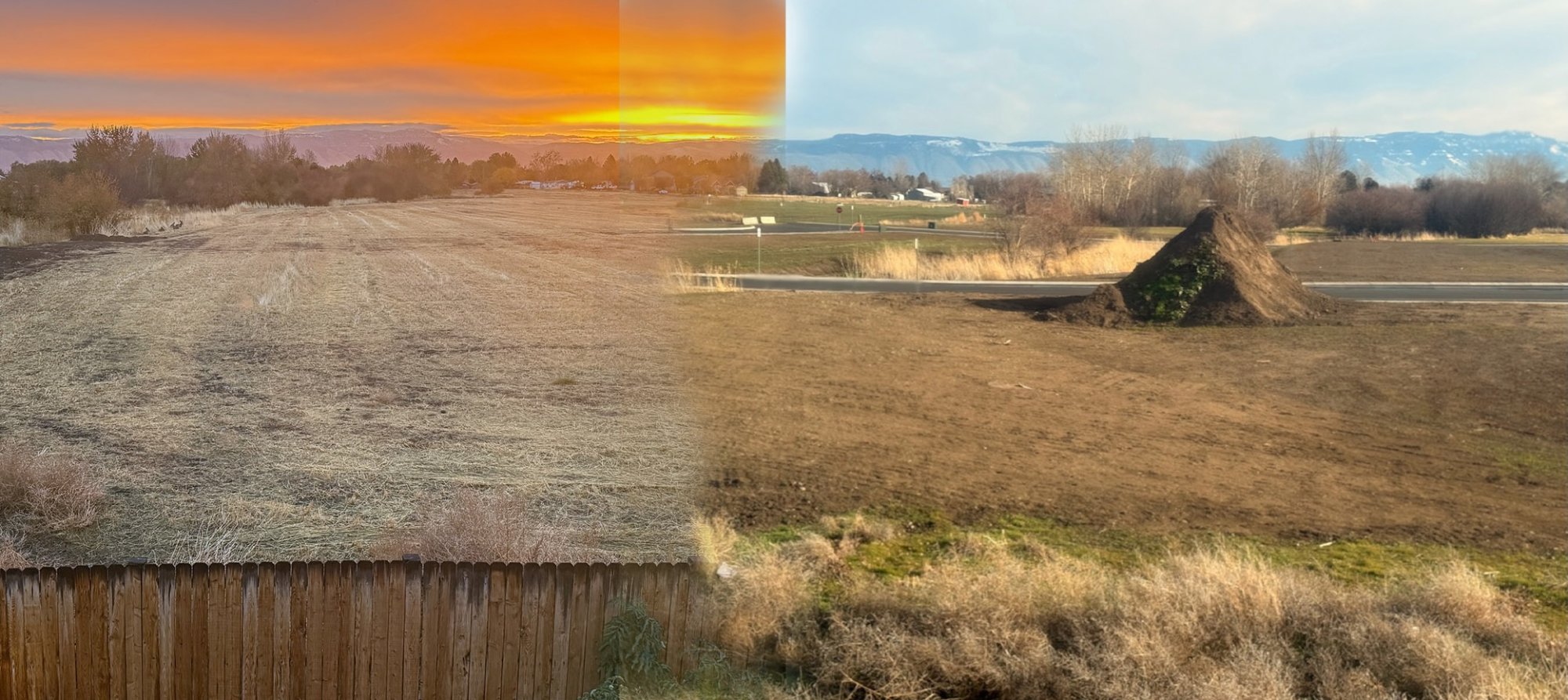 backyardnowFINISH - 1.jpeg