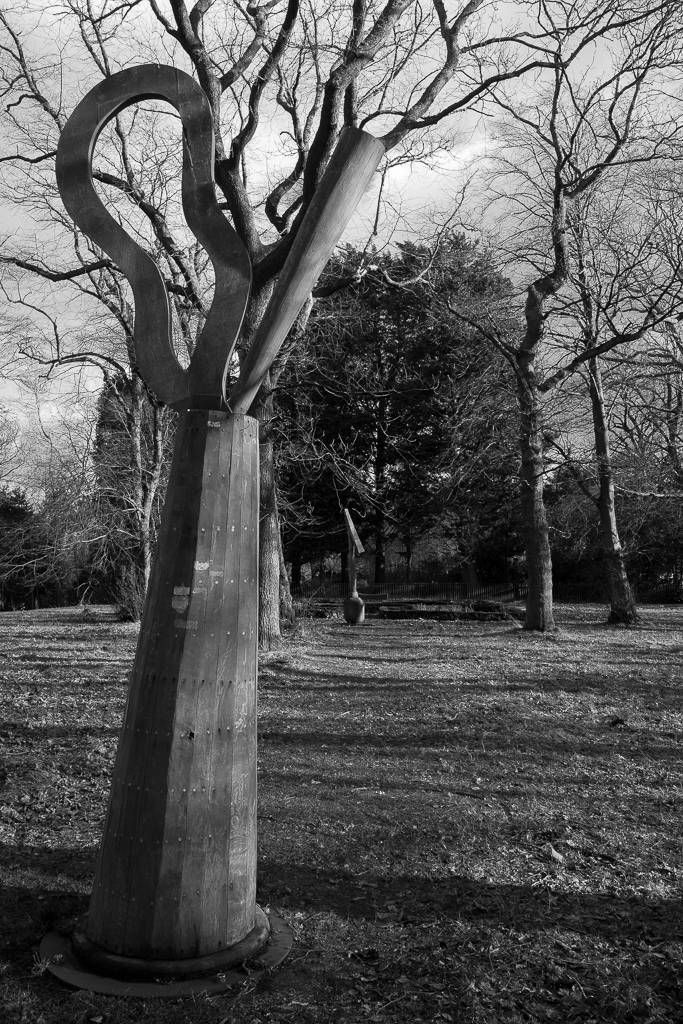 BellahoustonPark20160210BW-2.jpg