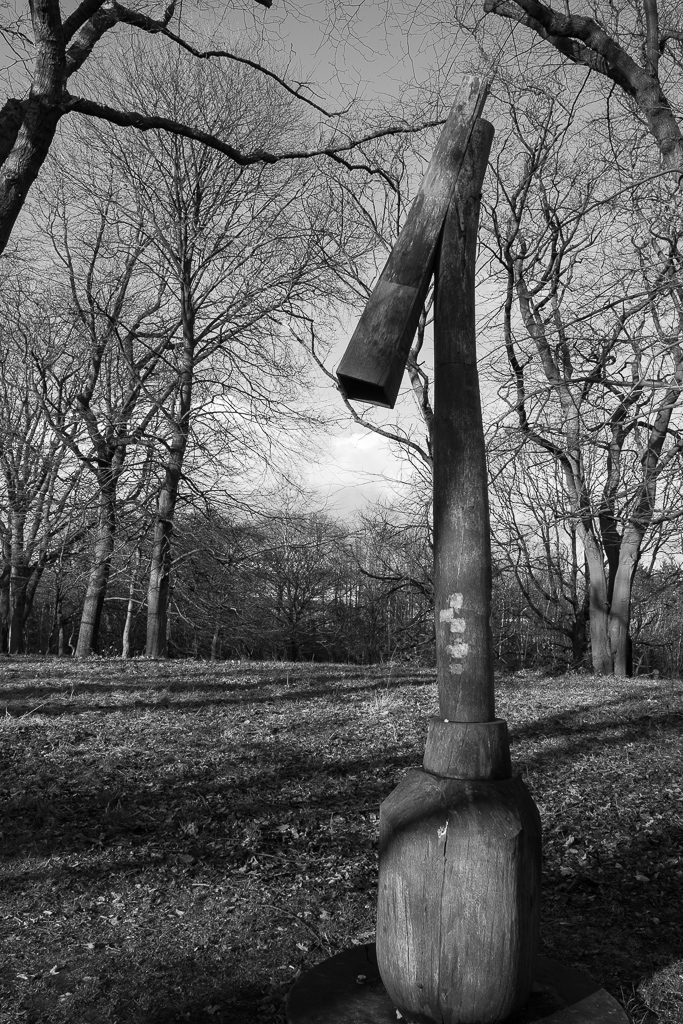 BellahoustonPark20160210BW.jpg