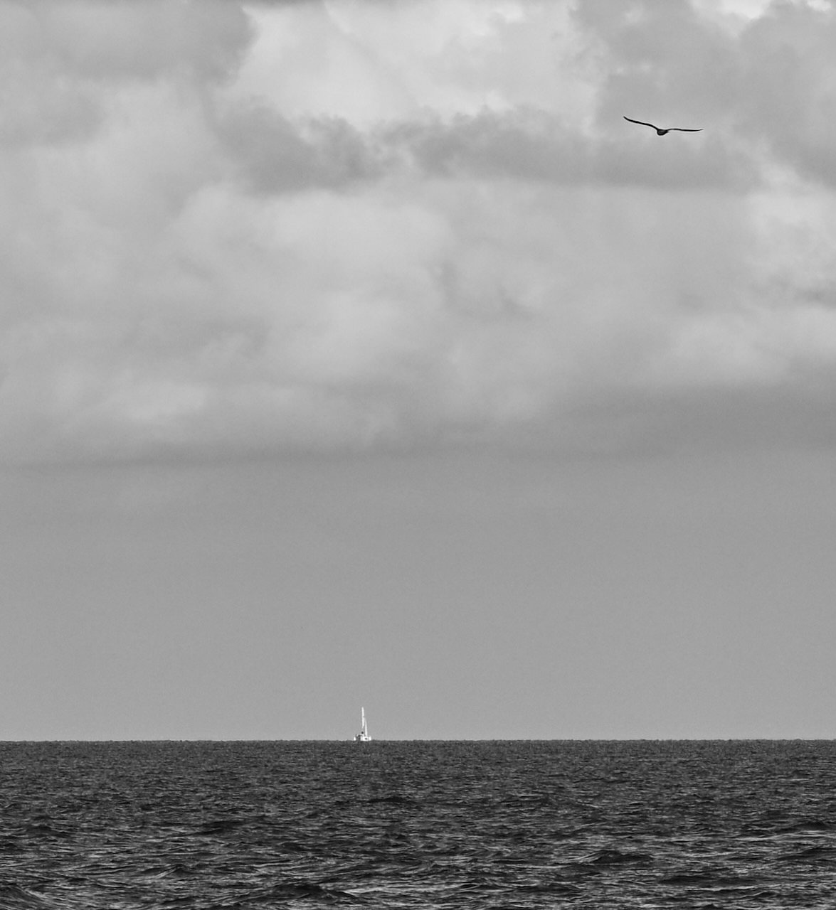 Bird and Boat.jpeg