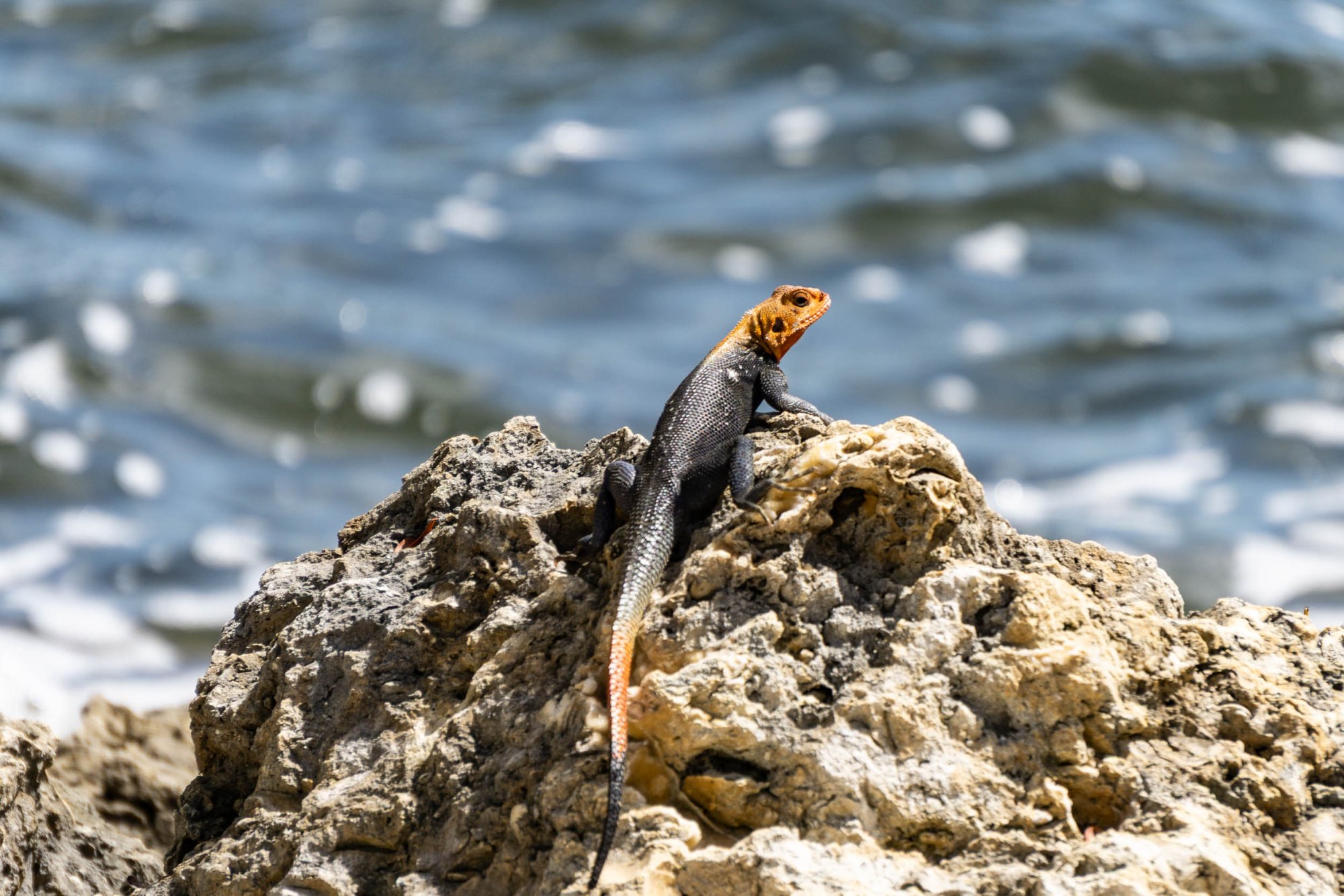 Biscayne NP - 2500px-3.jpg