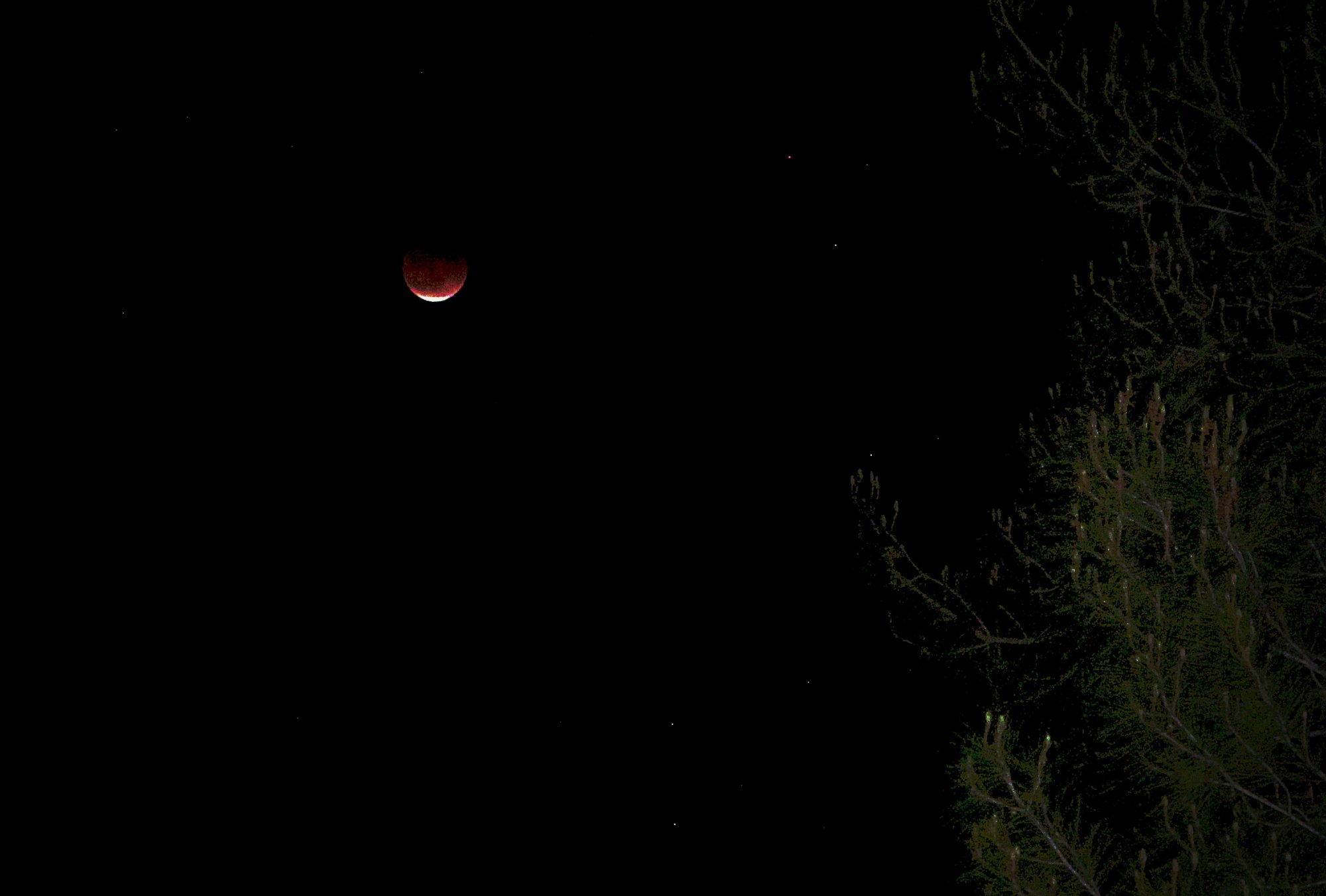 bloodmoon px x2.jpg