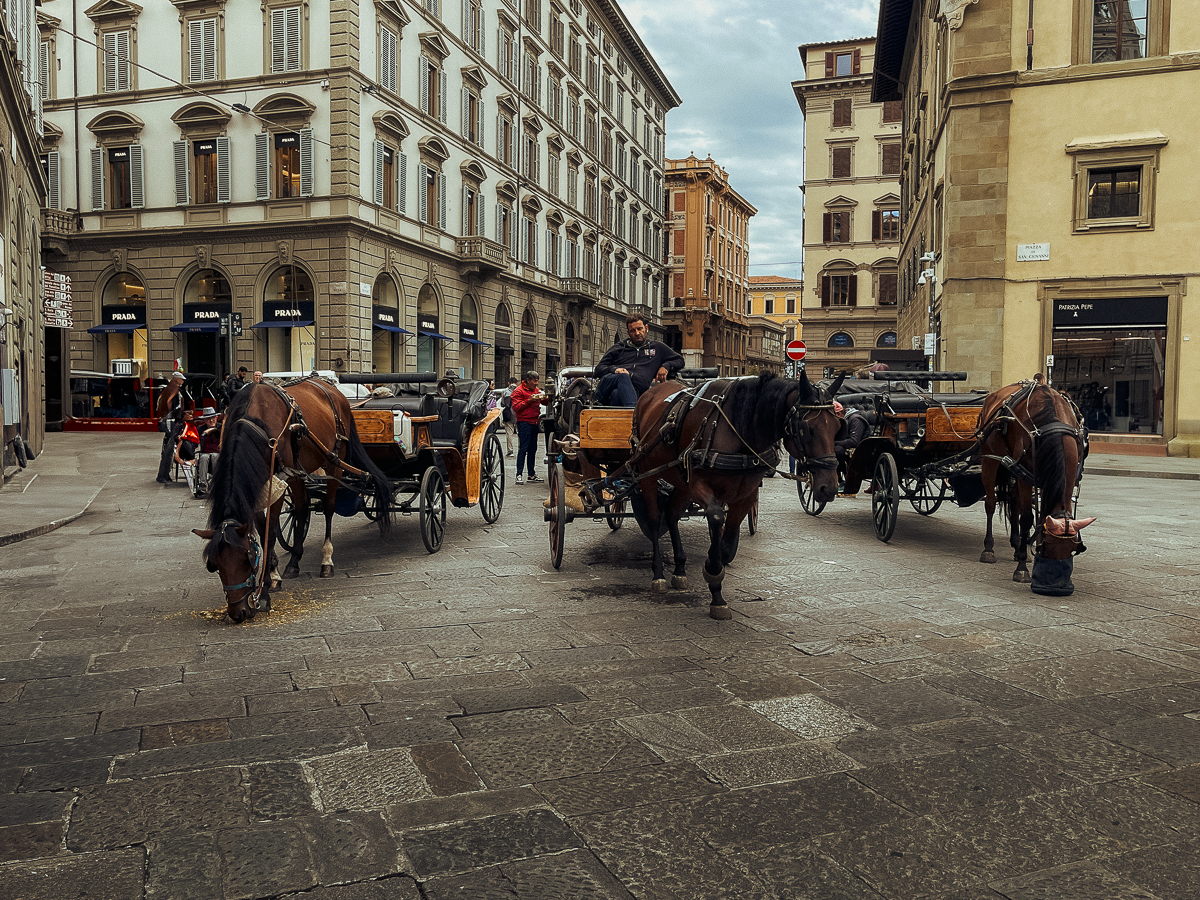 Bologna_Trip_093_2024_10_04_2840.jpg