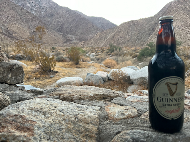 Borrego-Palm-Canyon-Campground.jpg