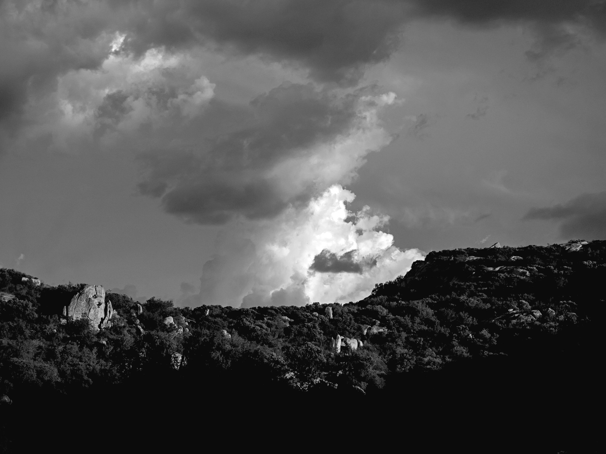 clouds 1305 rw 9.3.22 xbw3.jpg