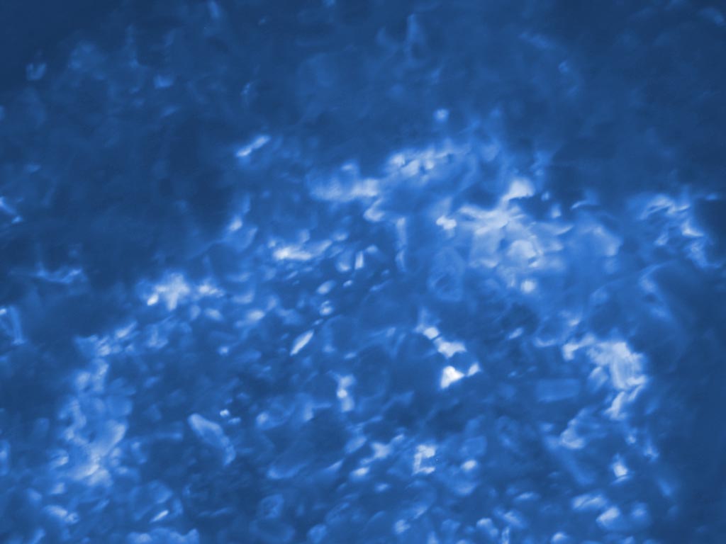 coals.jpg