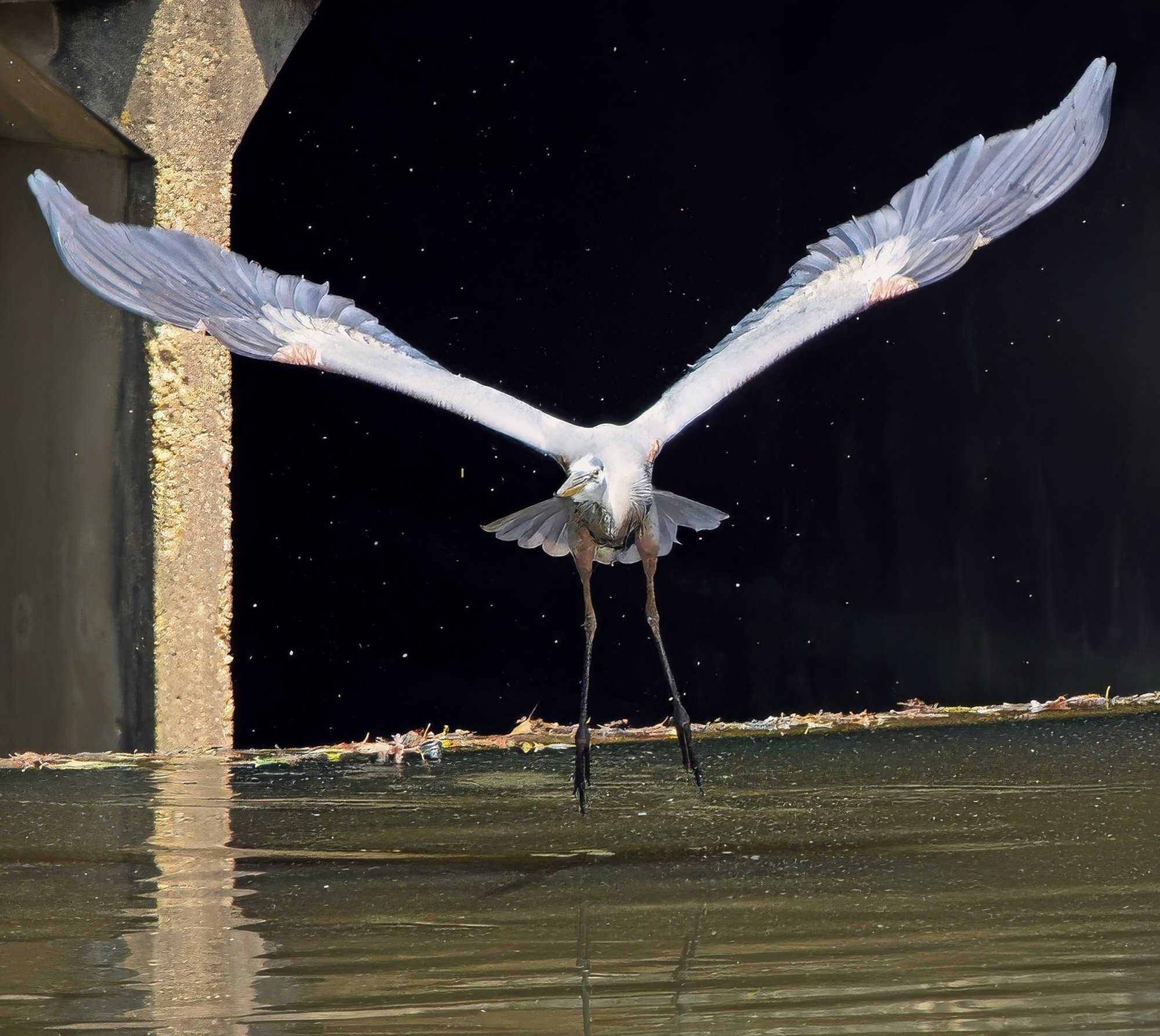 Coming At You, Baby!.jpeg