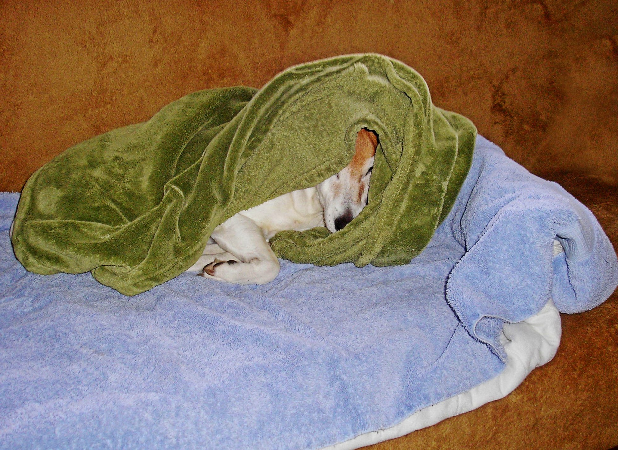 cuddle on couch 2 copy 2x2.jpg