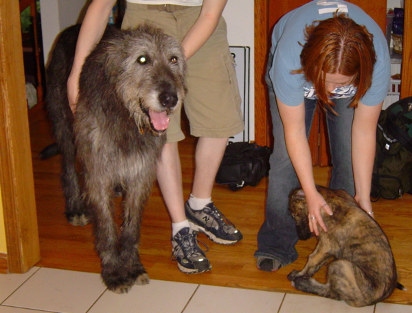 culin and sinead.jpg