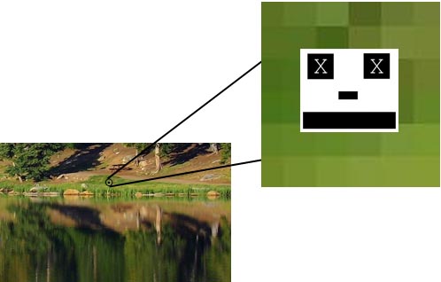 dead.jpg