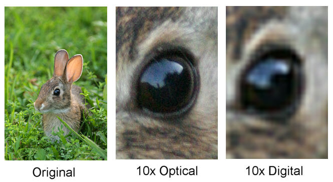digital_zoom_vs_optical_zoom.jpg