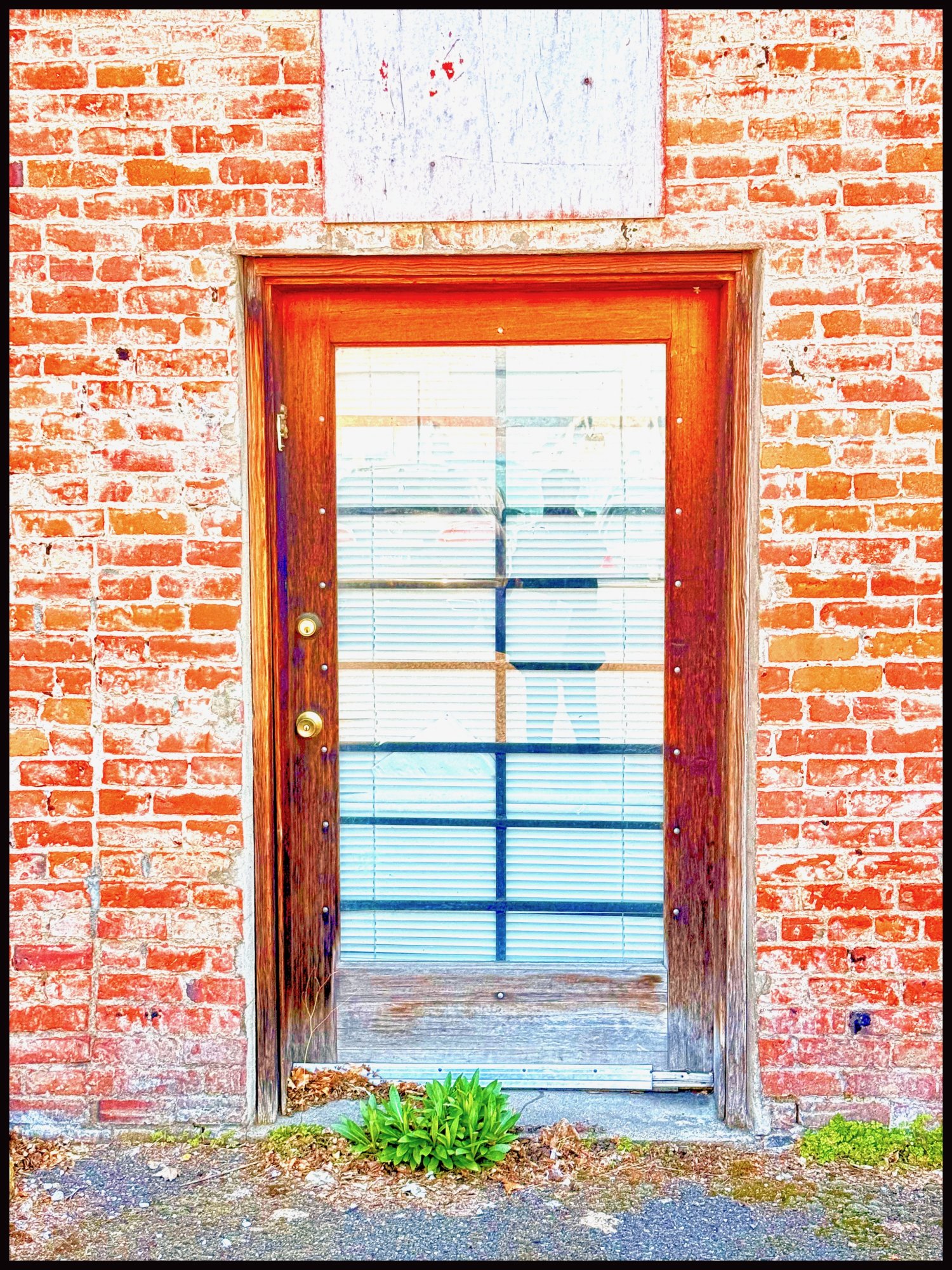 door - 1.jpeg