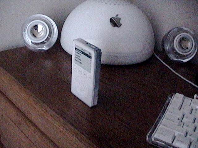 dsc00003.jpg