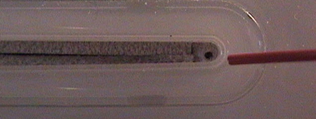 DSC00857.JPG
