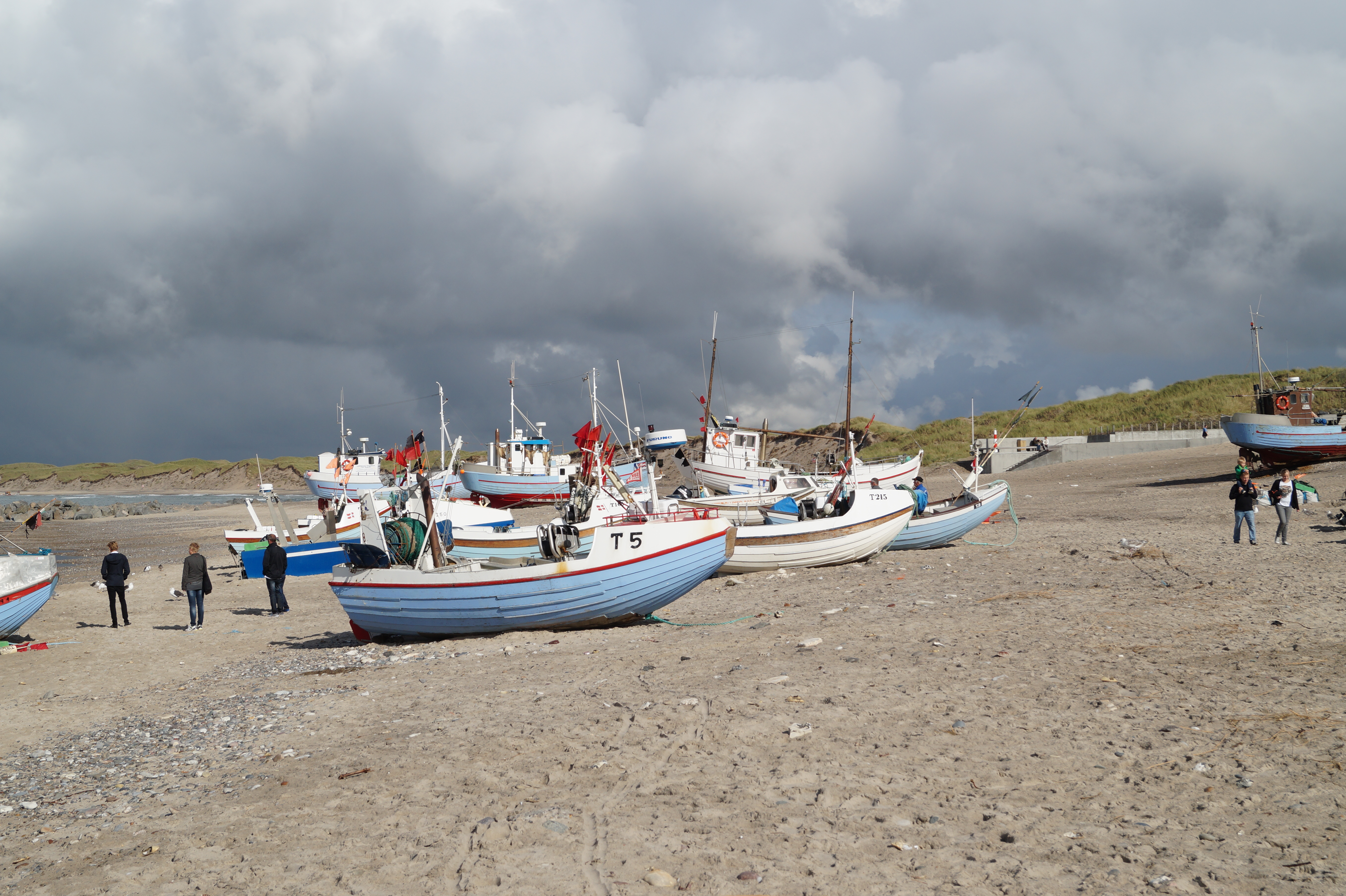 DSC09103.JPG