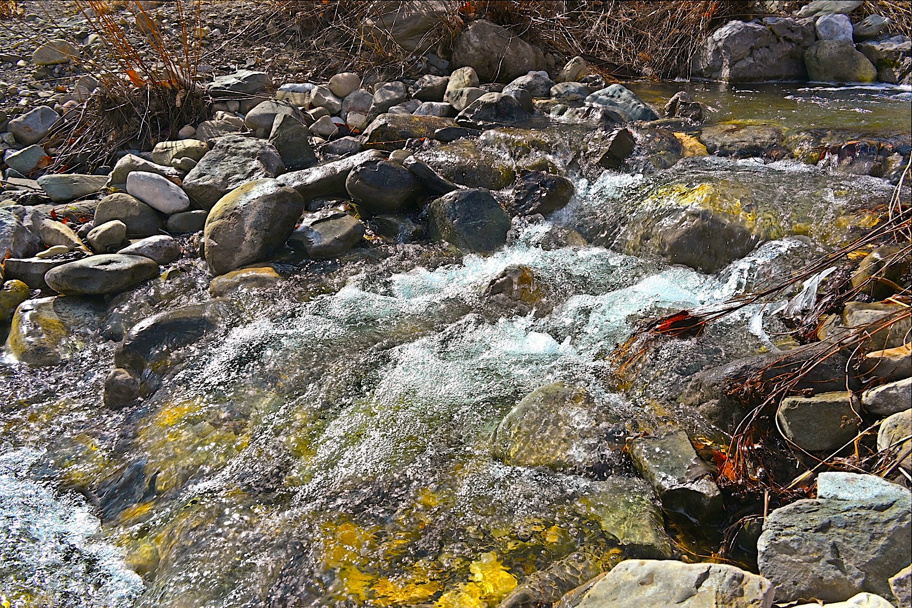 DSC_0014&15a.jpg